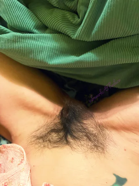 the she wolf, closer up.